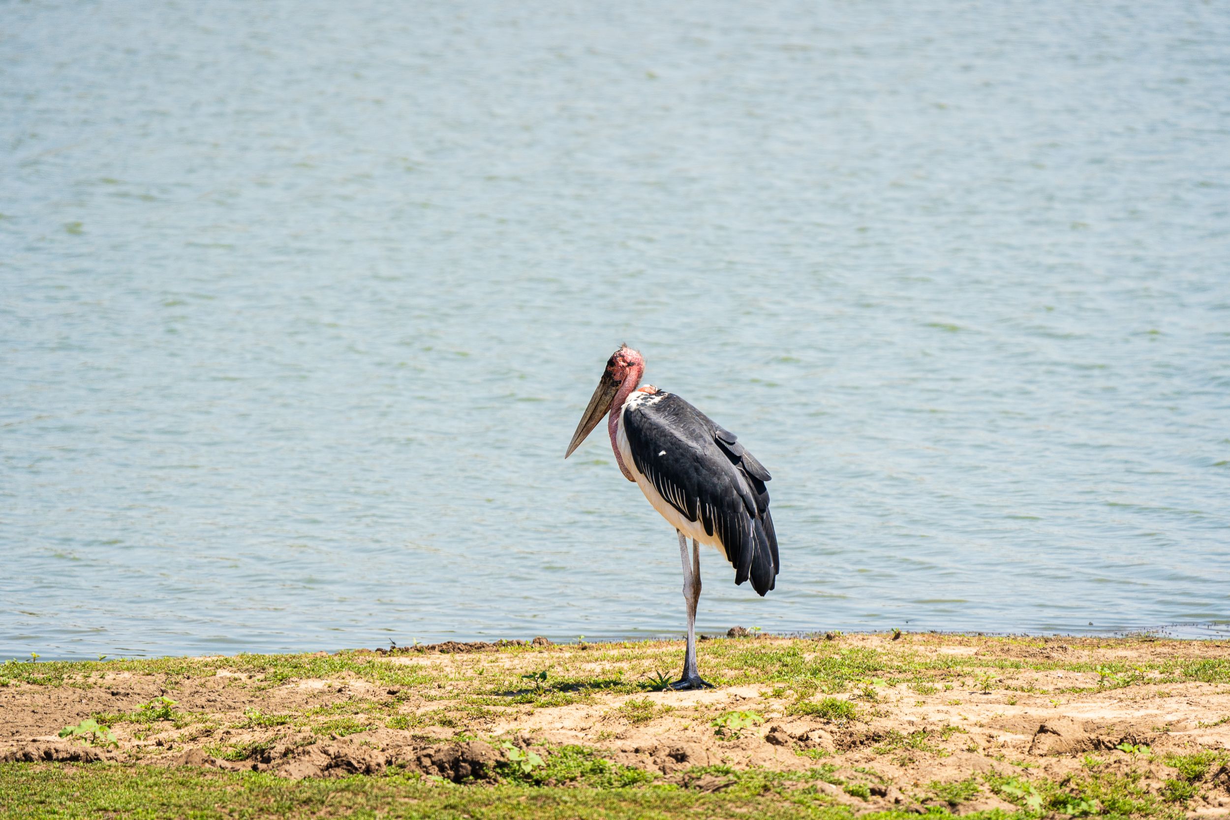 20231006 111820 Fotobuch Südafrika 04821